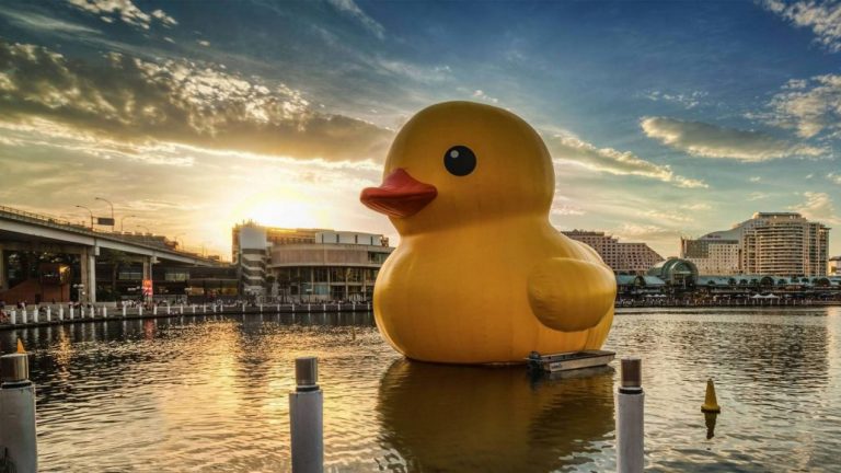 El pato de hule gigante tiene su propio juego y arrasa en la web