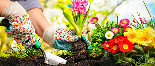 ¡Fin de semana de Jardinería!