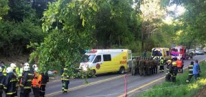 #FMDOSTeInforma Al menos 10 personas fallecieron en bus que volcó en Tirúa