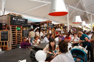 Panorama de Fin de Semana: Echinuco 2017