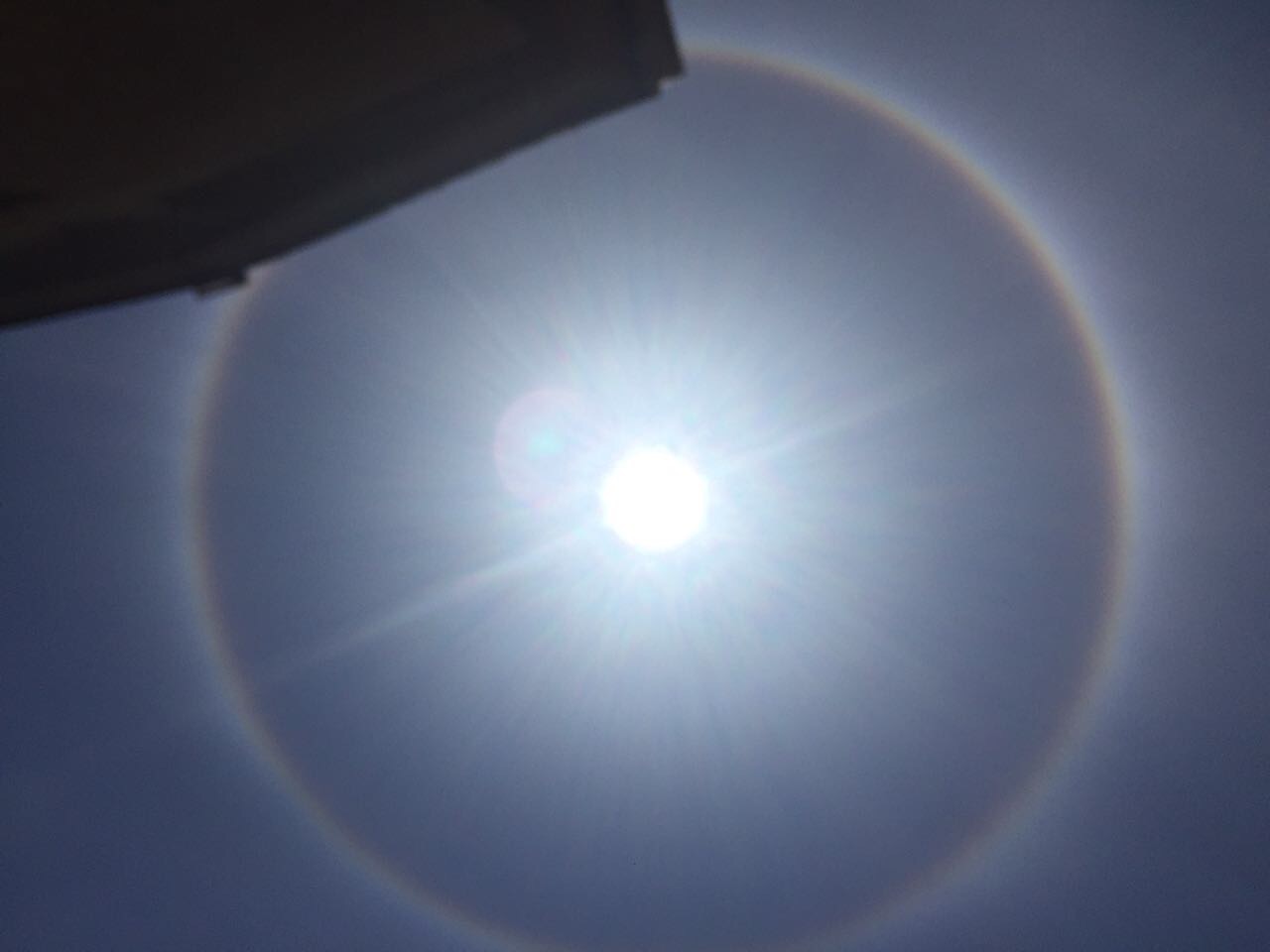 Halo Sol