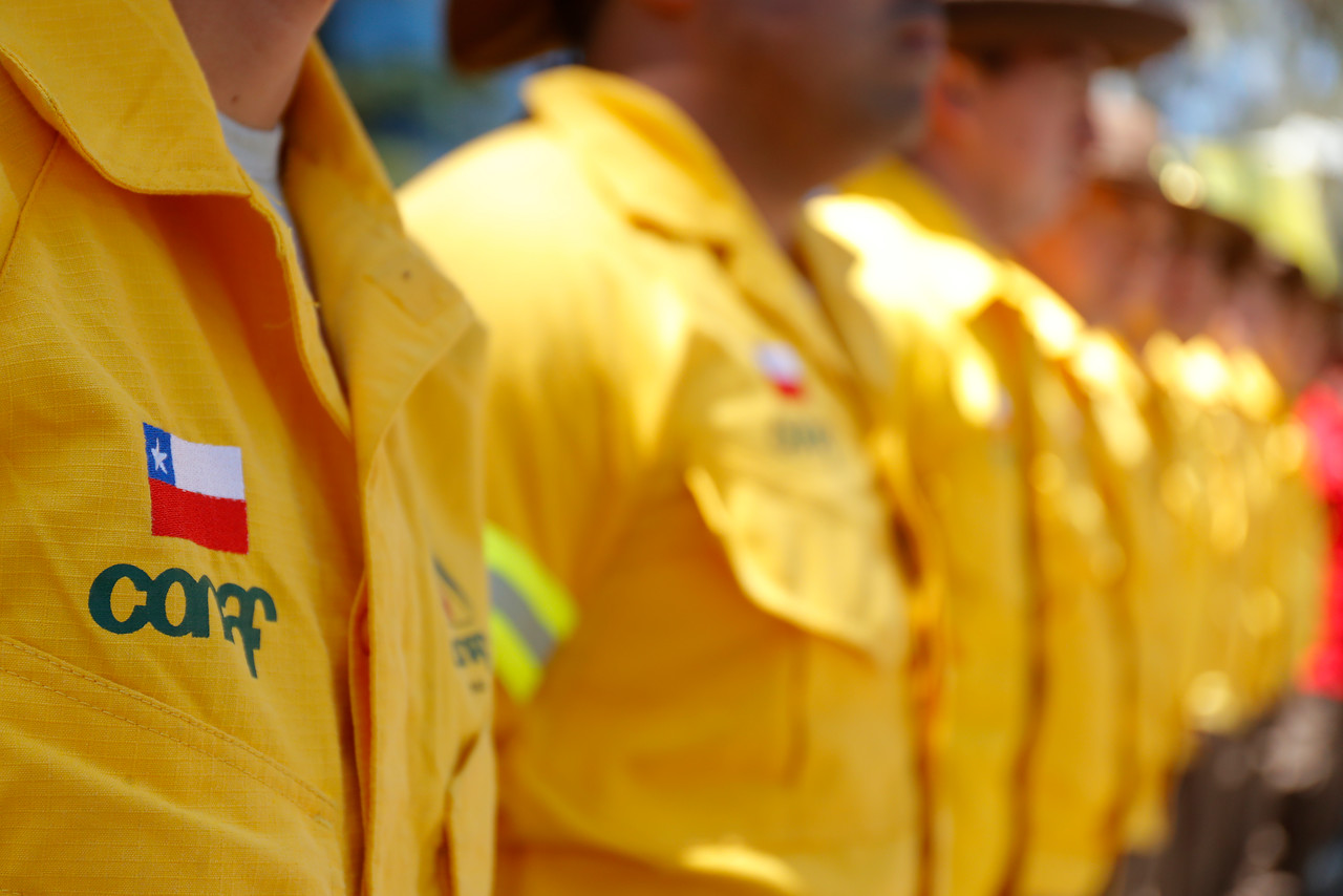 ¡Toma nota! Recomendaciones para evitar incendios forestales