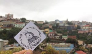 ¡Panorama imperdible! Feria Ecobelleza se realizará en Valparaíso por primera vez