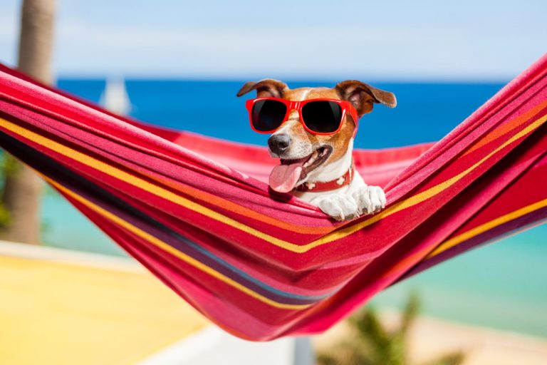 ¿Cuál te representa mejor? 7 cosas que hacemos cuando hace mucho calor