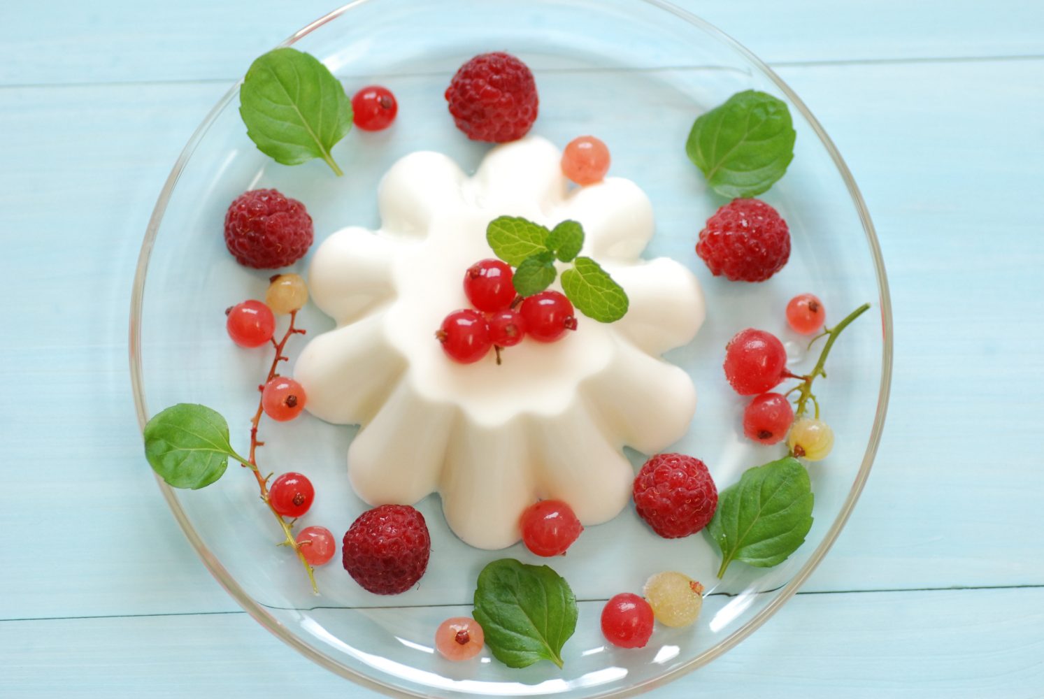 Pannacotta de yogur y grosellas