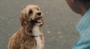 ¡Prepara los pañuelos! Este es el spot de Navidad que ha emocionado al mundo