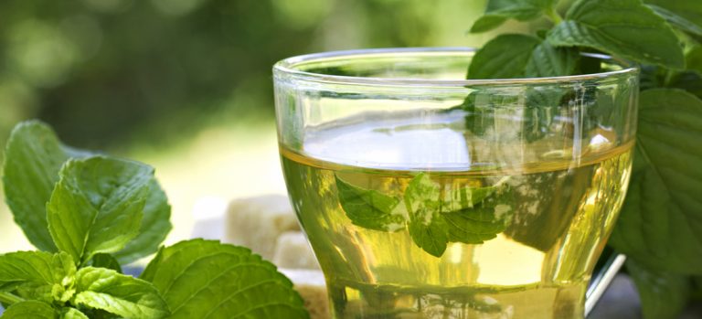 Agua de berro: Prueba esta efectiva infusión para adelgazar