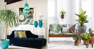 Conoce las 6 plantas que no deberías tener dentro de tu casa según el Feng Shui