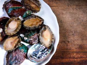 Desconocido molusco chileno es uno de lo más caros y exclusivos del mundo