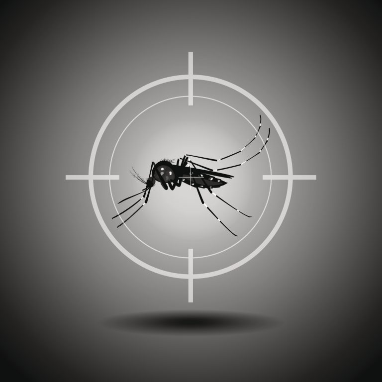 Dónde vacunarse, consejos y más: Todo lo que tienes que saber sobre la fiebre amarilla
