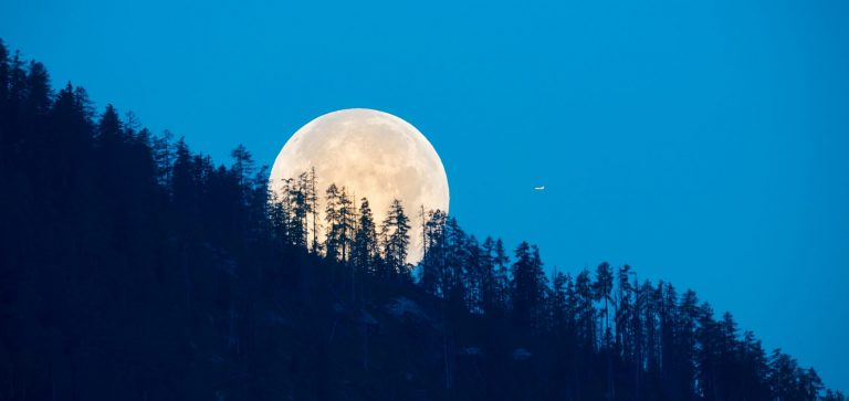 Luna llena del Lobo: el próximo evento astronómico al que poner atención