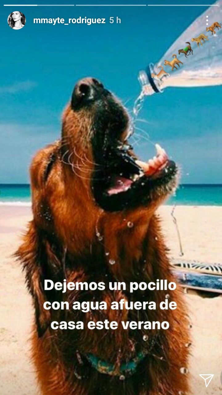 Mayte Rodriguez instagram