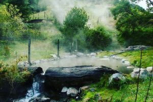 ¿Quieres relajarte en hermosos lugares del sur de Chile? ¡Esta aplicación te muestra la Ruta de las Termas!