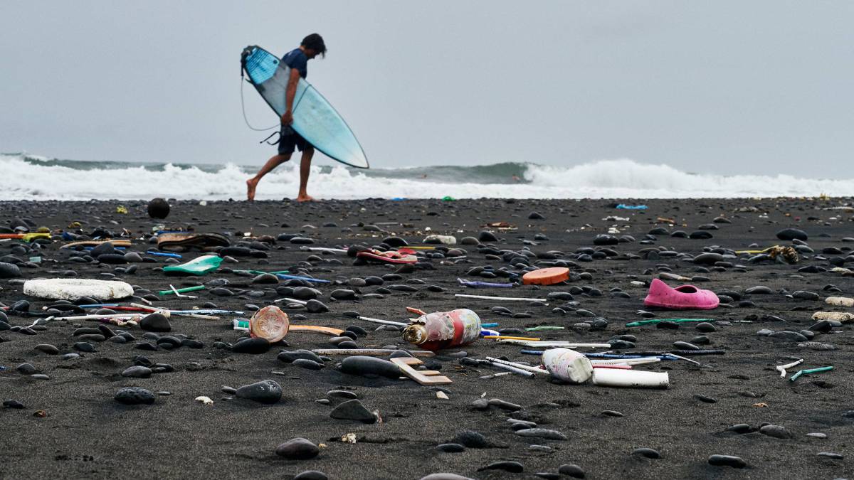 Voluntarios por el océano