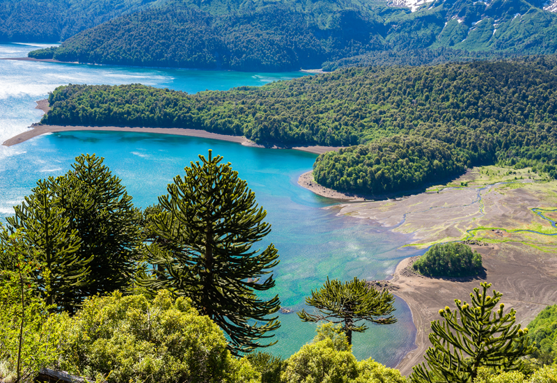 Descubre los imperdibles del Parque Nacional Conguillío #VeranoFMDOS