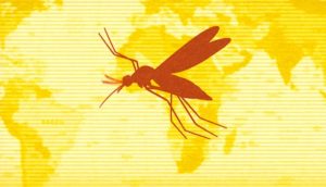 Fallece segundo chileno contagiado por fiebre amarilla en Brasil