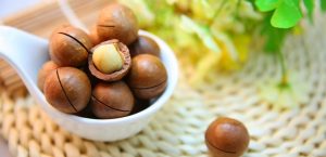 Descubre los increíbles beneficios de la nuez de Macadamia