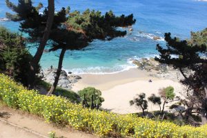 Descubre 5 las playas del amor en Chile #VeranoFMDOS