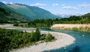 ¡Se aprueba la creación del Parque Nacional Pumalín!