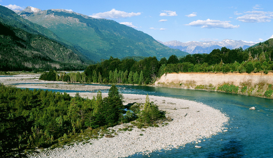 ¡Se aprueba la creación del Parque Nacional Pumalín!