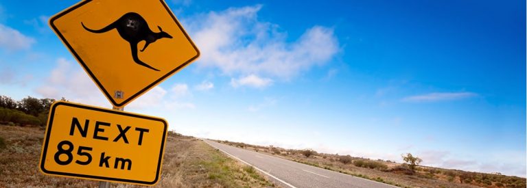 ¿Buscas oportunidades? Conoce las opciones para estudiar o trabajar en el extranjero
