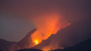Incendio forestal en sector Aculeo de Paine ha consumido más de 100 hectáreas