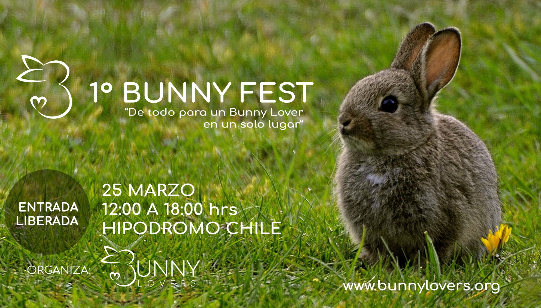 Bunny Fest