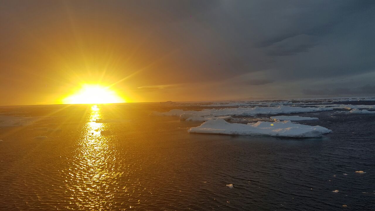 ¿Cómo cuidar el medio ambiente? Consejos para disminuir la huella de carbono