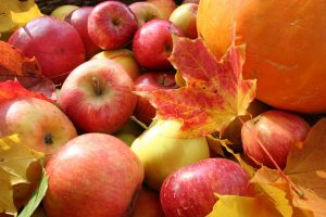 ¡Bienvenido otoño! Los 4 alimentos que deberías probar esta temporada