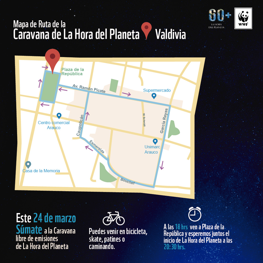 Mapa de Ruta Valdivia