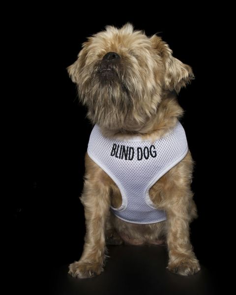 Perfecta imperfeccion proyecto