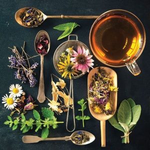 ¡Conoce los tres tipos de tés chilenos que te van a encantar!