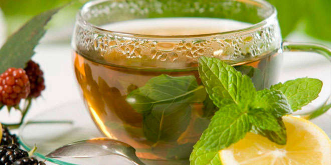 Infusiones de hierbas o frutas