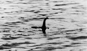 Encuentran extraño animal parecido al mítico "monstruo" del Lago Ness