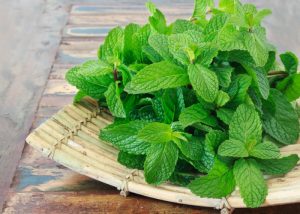 Descubre los desconocidos beneficios de hierba buena