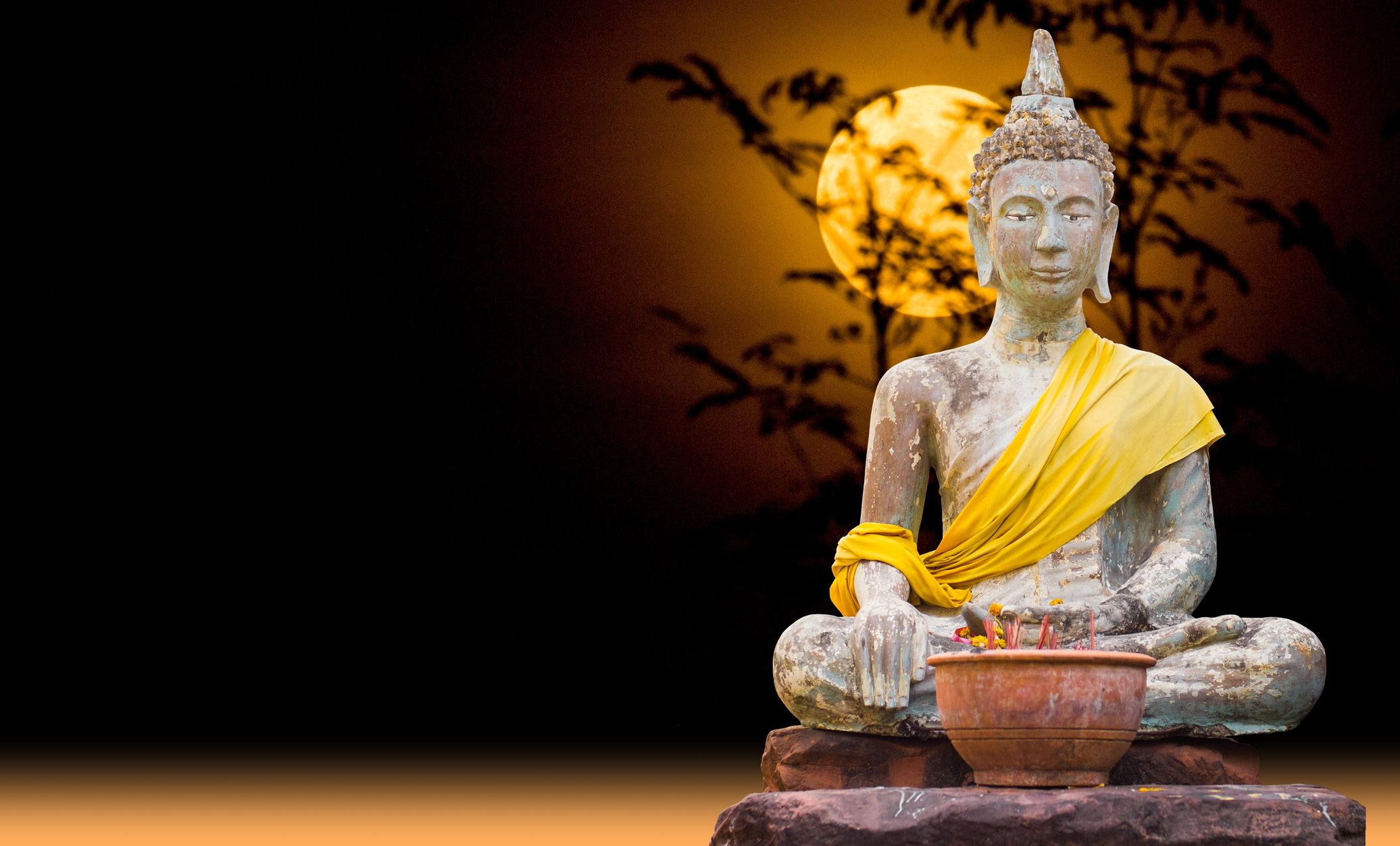 Horóscopo zodiacal: Conéctate con tus emociones durante la semana de la Luna del Buda