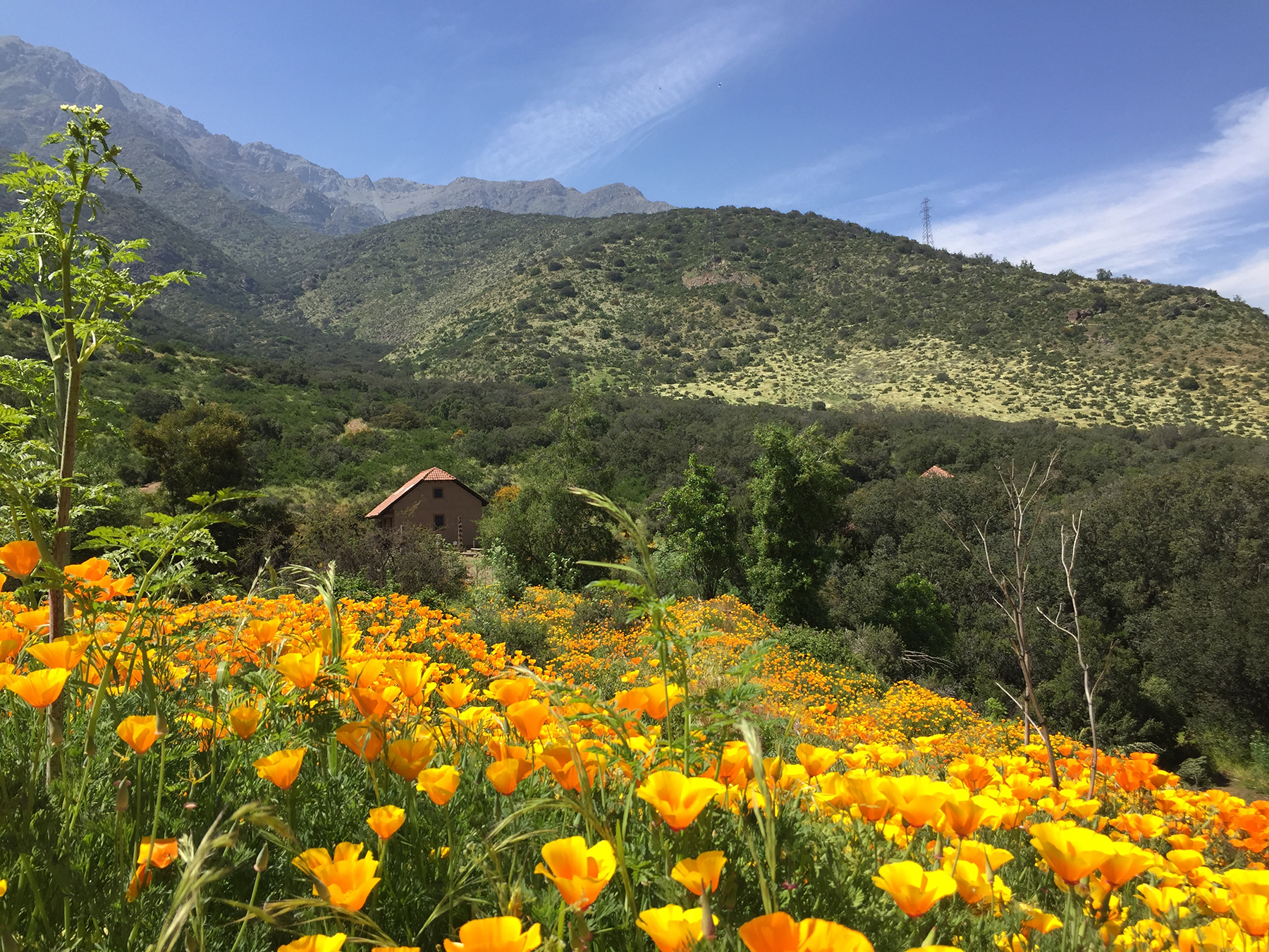 Conoce el nuevo parque natural que busca enseñar a la ciudadanía sobre flora y fauna nativa