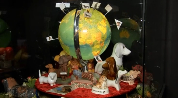 Museo perros salchichas