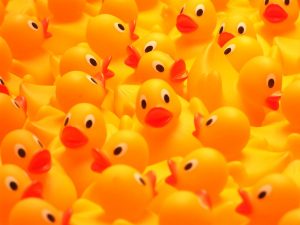 Patito feo: los gérmenes de los patos de goma que usas en el baño