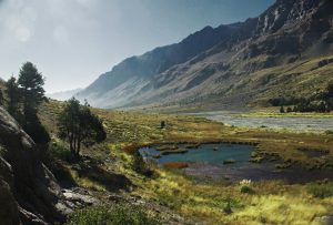 Panorama FMDOS: Reserva Nacional Río de Los Cipreses