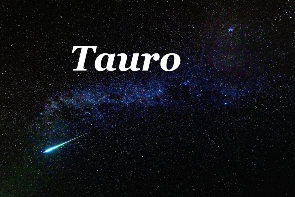 Tauro signo de tierra