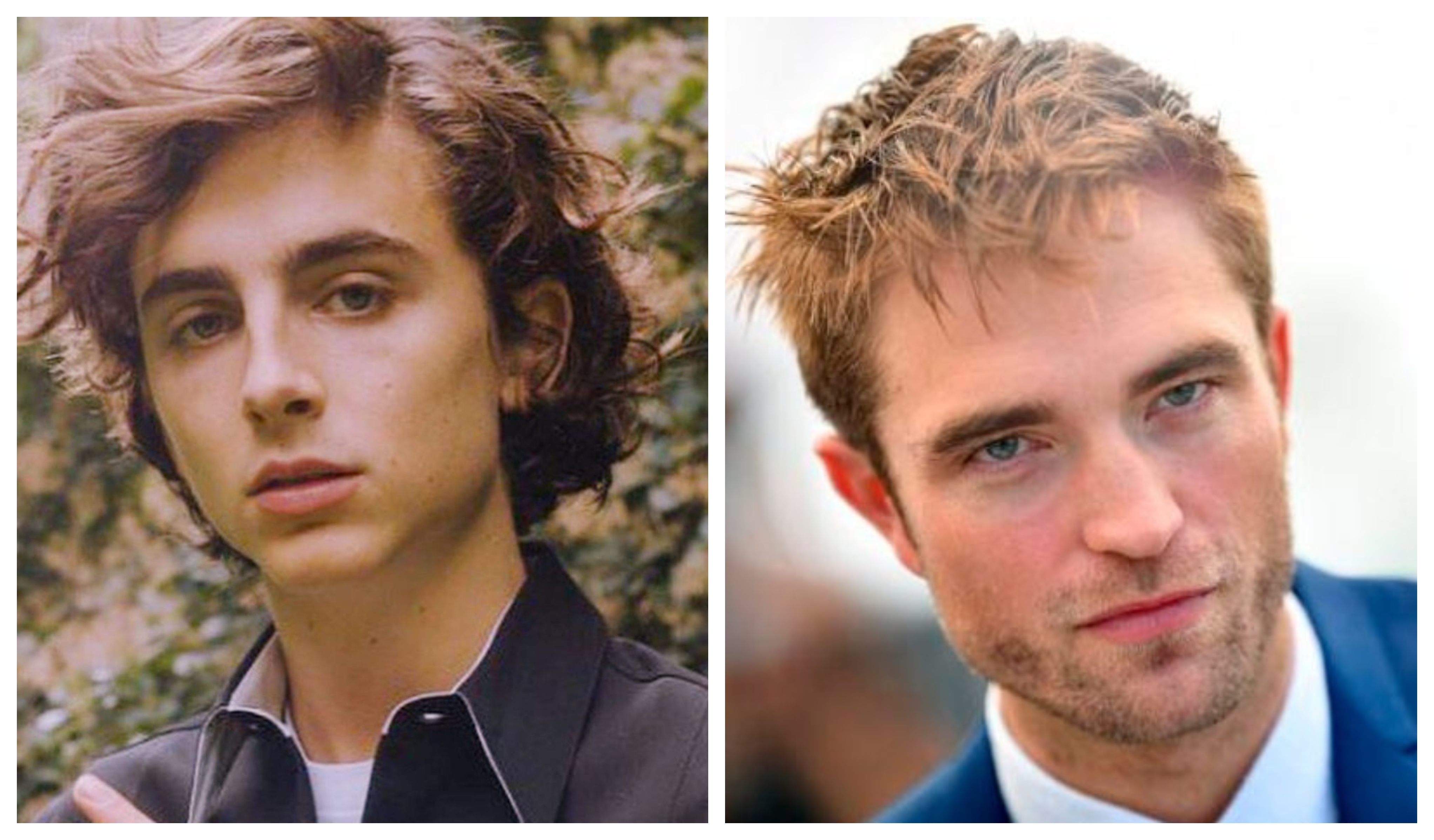 Los galanes Timothée Chalamet y Robert Pattinson estarán en nueva película de Netflix