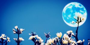 ¡Se viene la Luna de las flores! Conoce este fenómeno astronómico que ocurrirá en mayo