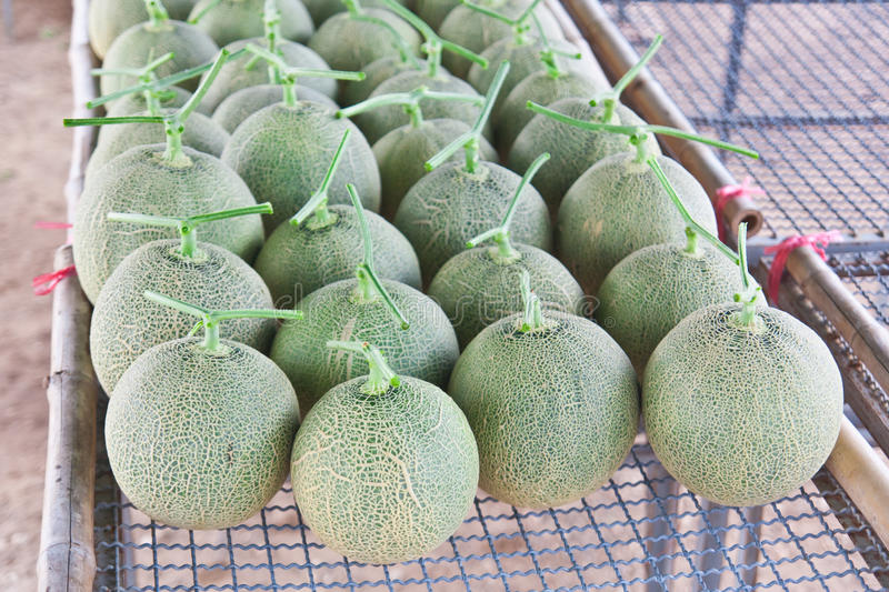 Estos son los dos melones que se vendieron en 18 millones de pesos