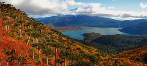 La región de la Araucanía podría tener el primer Geoparque de Chile