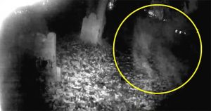 Investigador acude a cementerio "embrujado" de noche y graba a supuesto fantasma