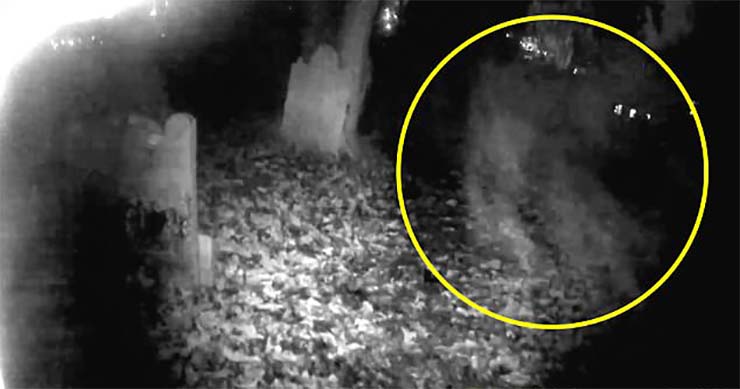 Investigador acude a cementerio "embrujado" de noche y graba a supuesto fantasma