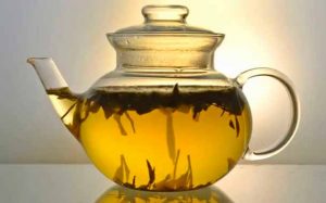 Bebe infusión de alga fucus y baja de peso de forma natural