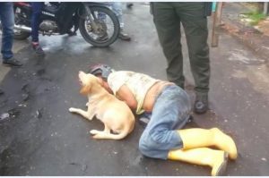 Hombre borracho se queda dormido en la calle y su perro lo cuida