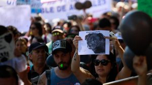 Llaman a marchar contra el maltrato de las mascotas este 30 de junio